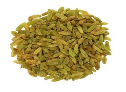 قیمت کشمش قلمی سبز + پخش تولیدی عمده کارخانه