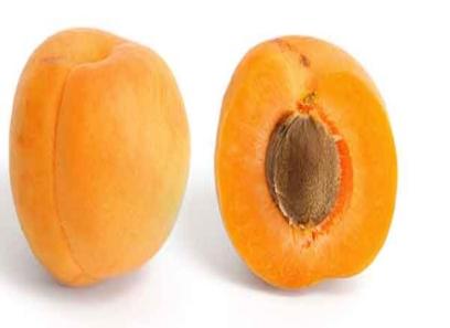 قیمت خرید قیسی زردآلو تازه + مشخصات، عمده ارزان